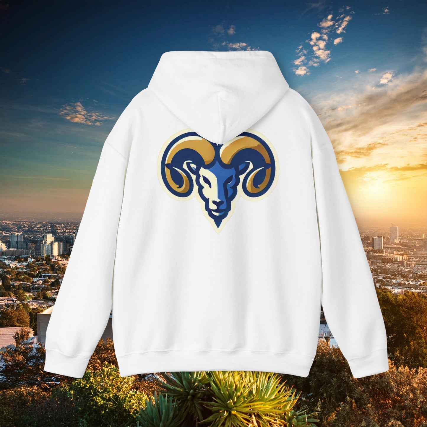 LA Football Hoodie