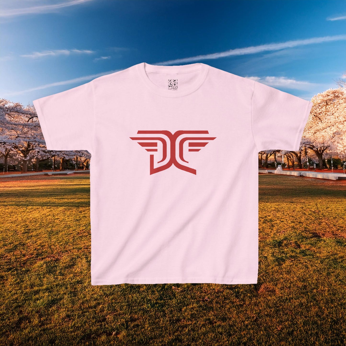 Winged DC Kids Tee
