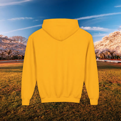 Washington DC Football Logo Youth Hoodie