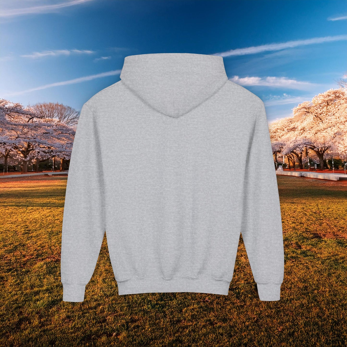 Winged DC Youth Hoodie