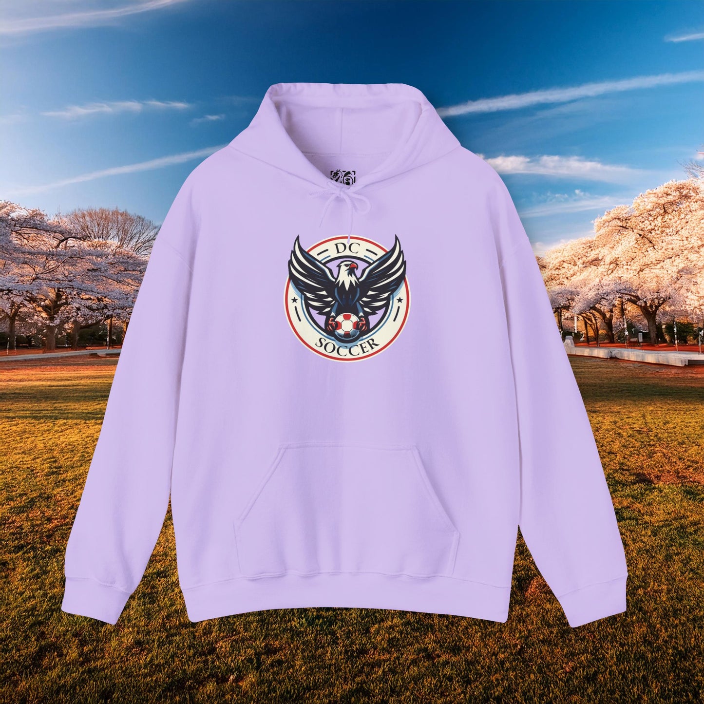 DC United Logo Hoodie