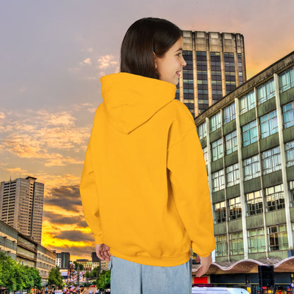 Villans Youth Hoodie