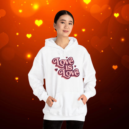 Love Is Love Hoodie