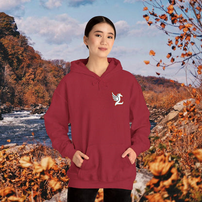 Loudoun Pegasus Hoodie