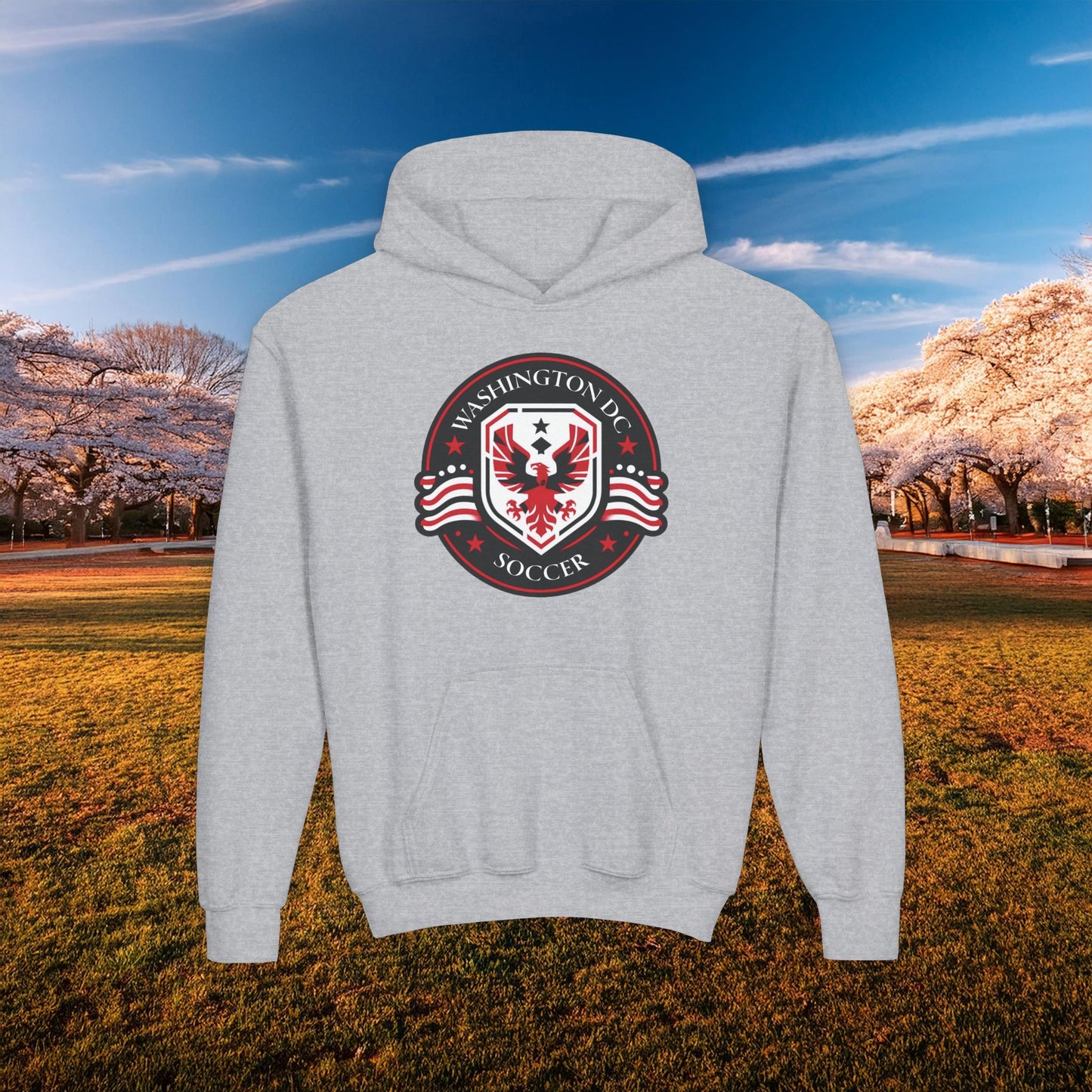 DC United Crest Youth Hoodie