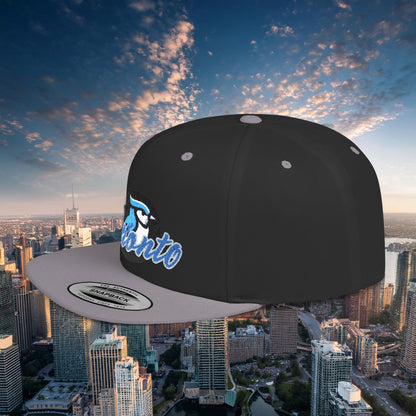 Toronto Baseball Flat Bill Snapback