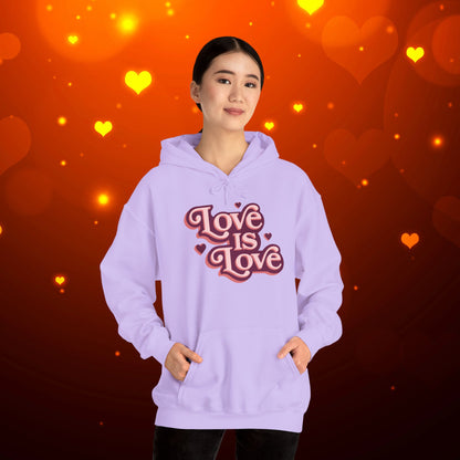 Love Is Love Hoodie