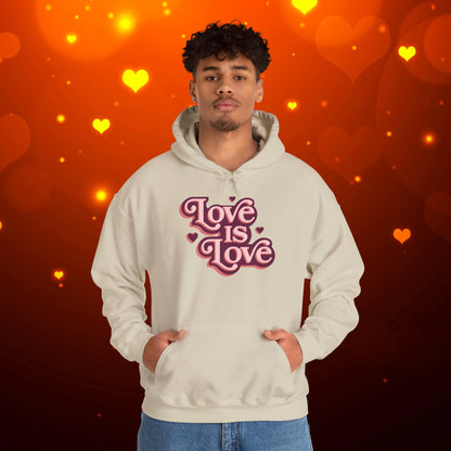Love Is Love Hoodie