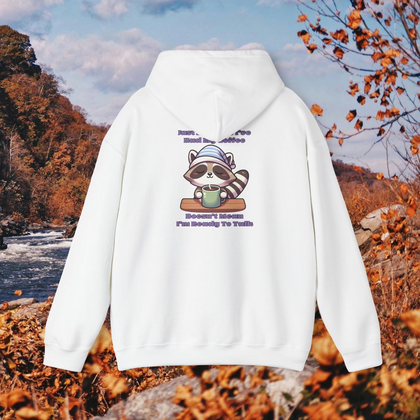 Raccoon Coffee Hoodie