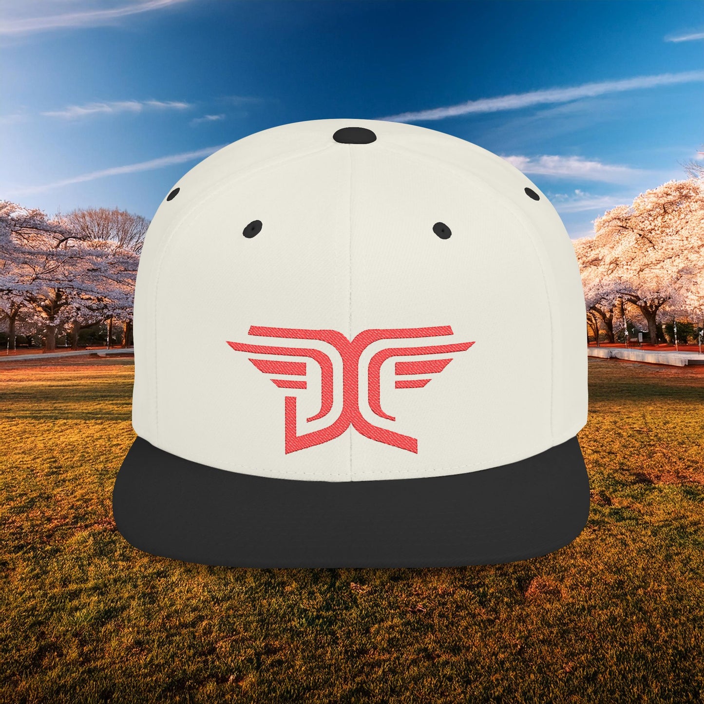 Winged DC Flat Bill Snapback