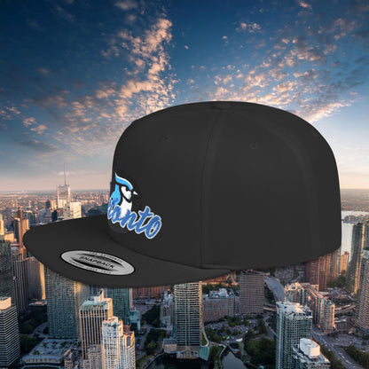 Toronto Baseball Flat Bill Snapback