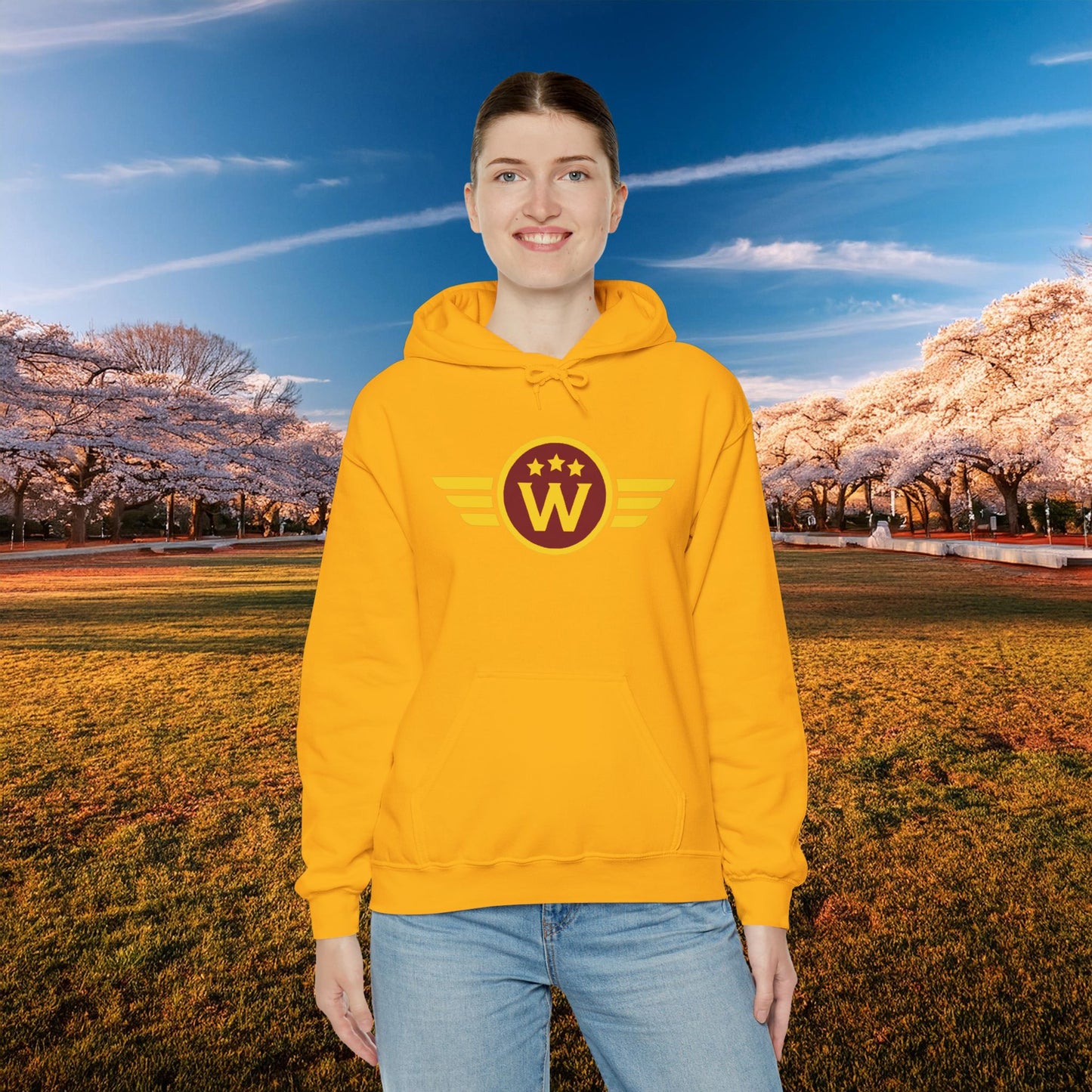 Washington DC Football Logo Hoodie