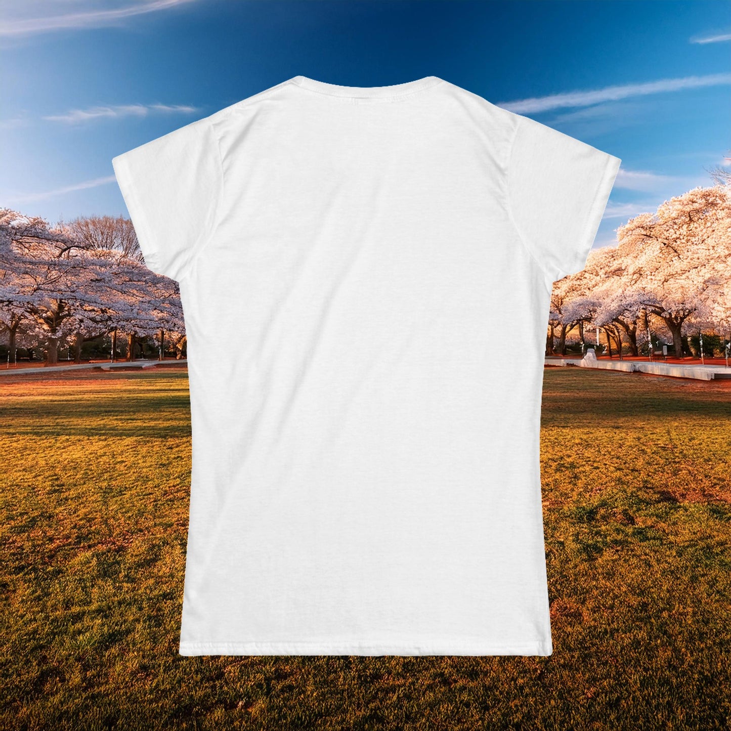 Washington Spirit Eagle Women's Softstyle Tee