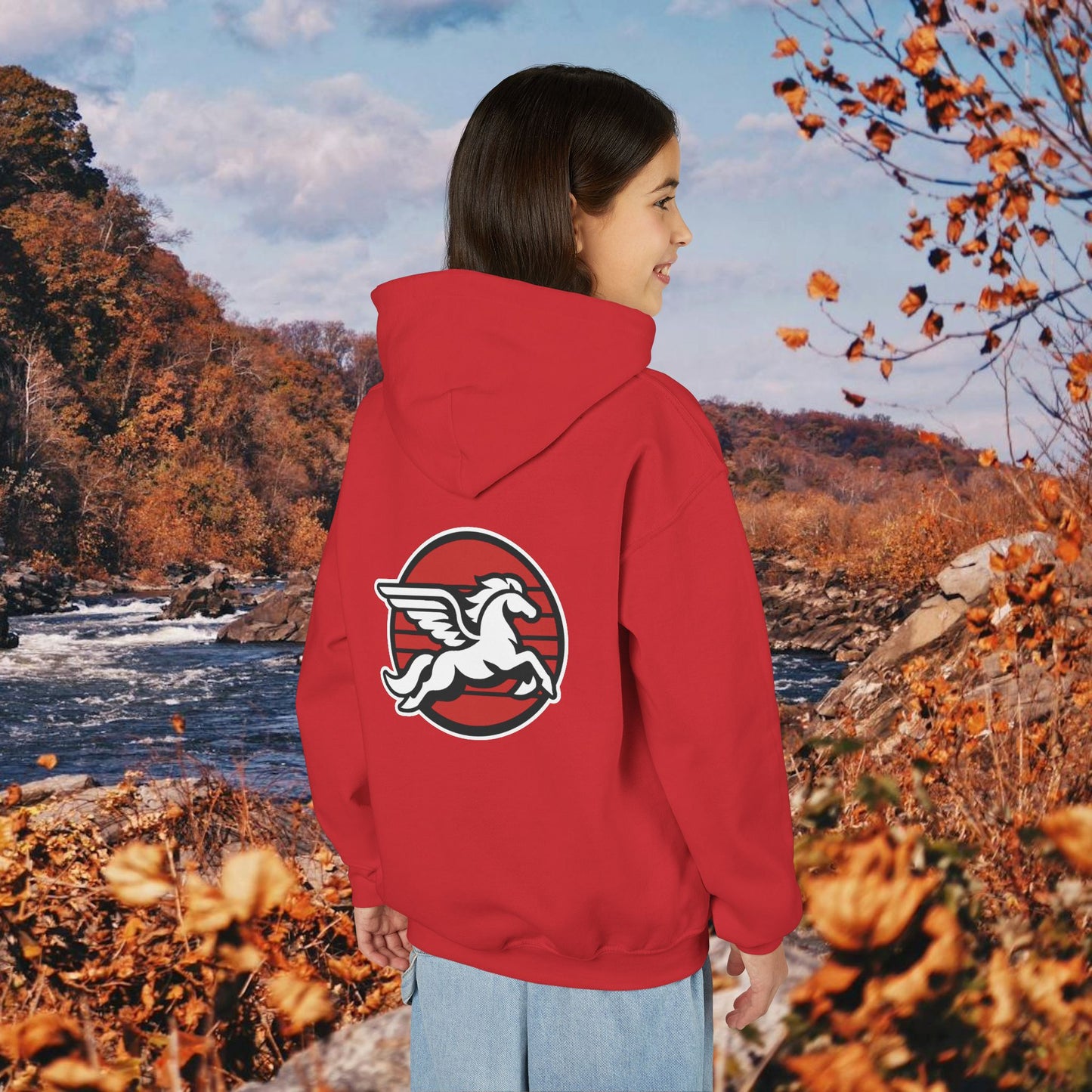 Loudoun Pegasus Youth Hoodie