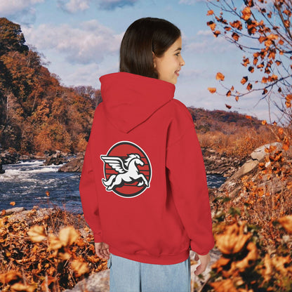 Loudoun Pegasus Youth Hoodie