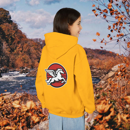 Loudoun Pegasus Youth Hoodie