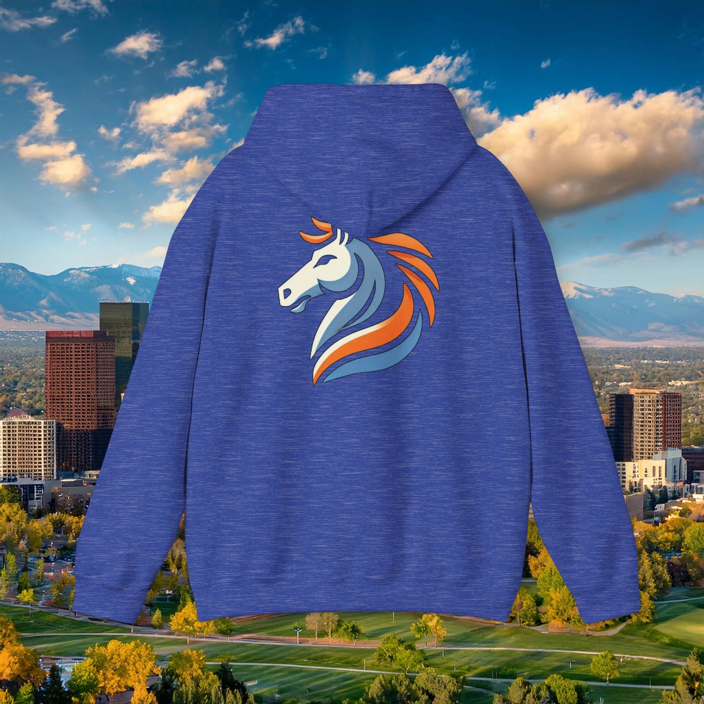 Bronco Hoodie