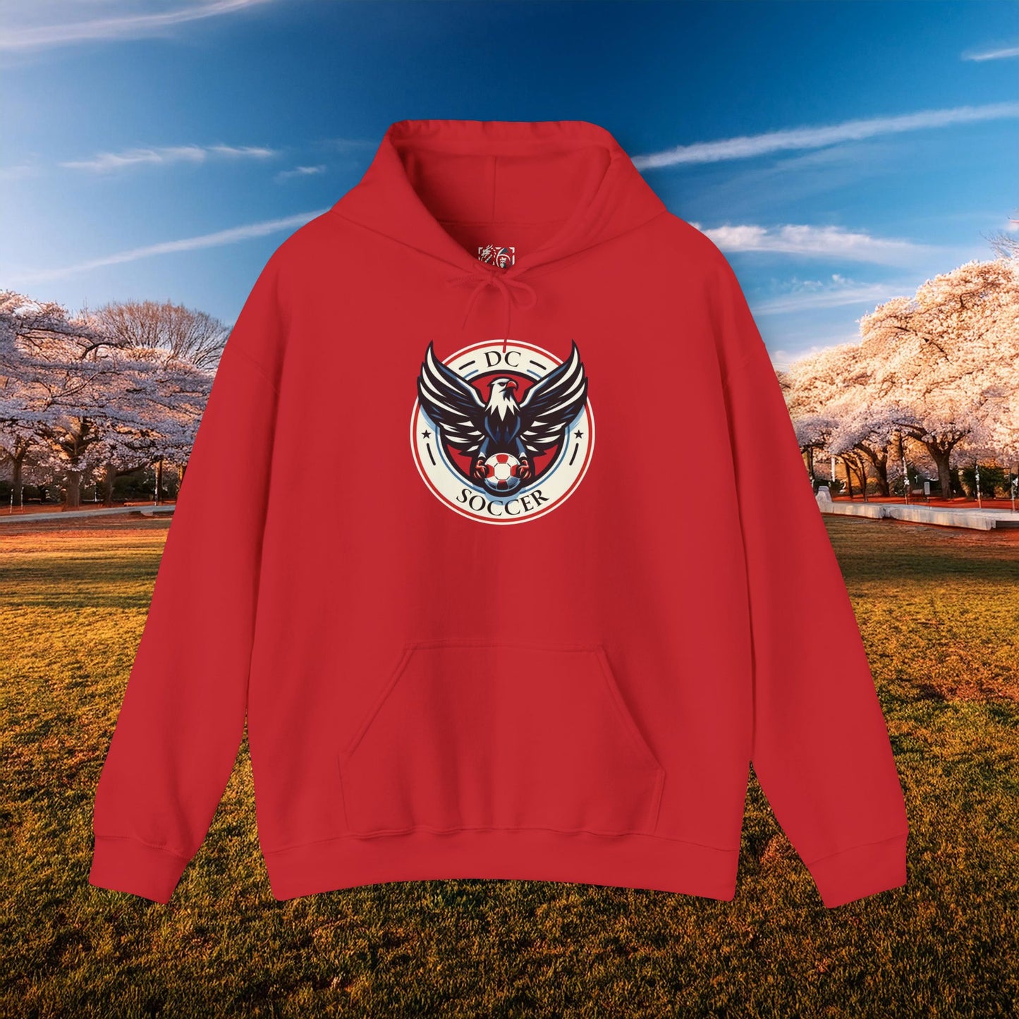 DC United Logo Hoodie