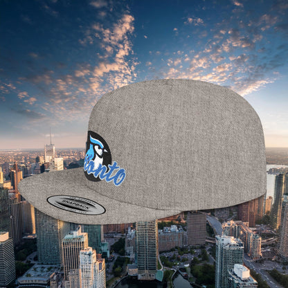 Toronto Baseball Flat Bill Snapback