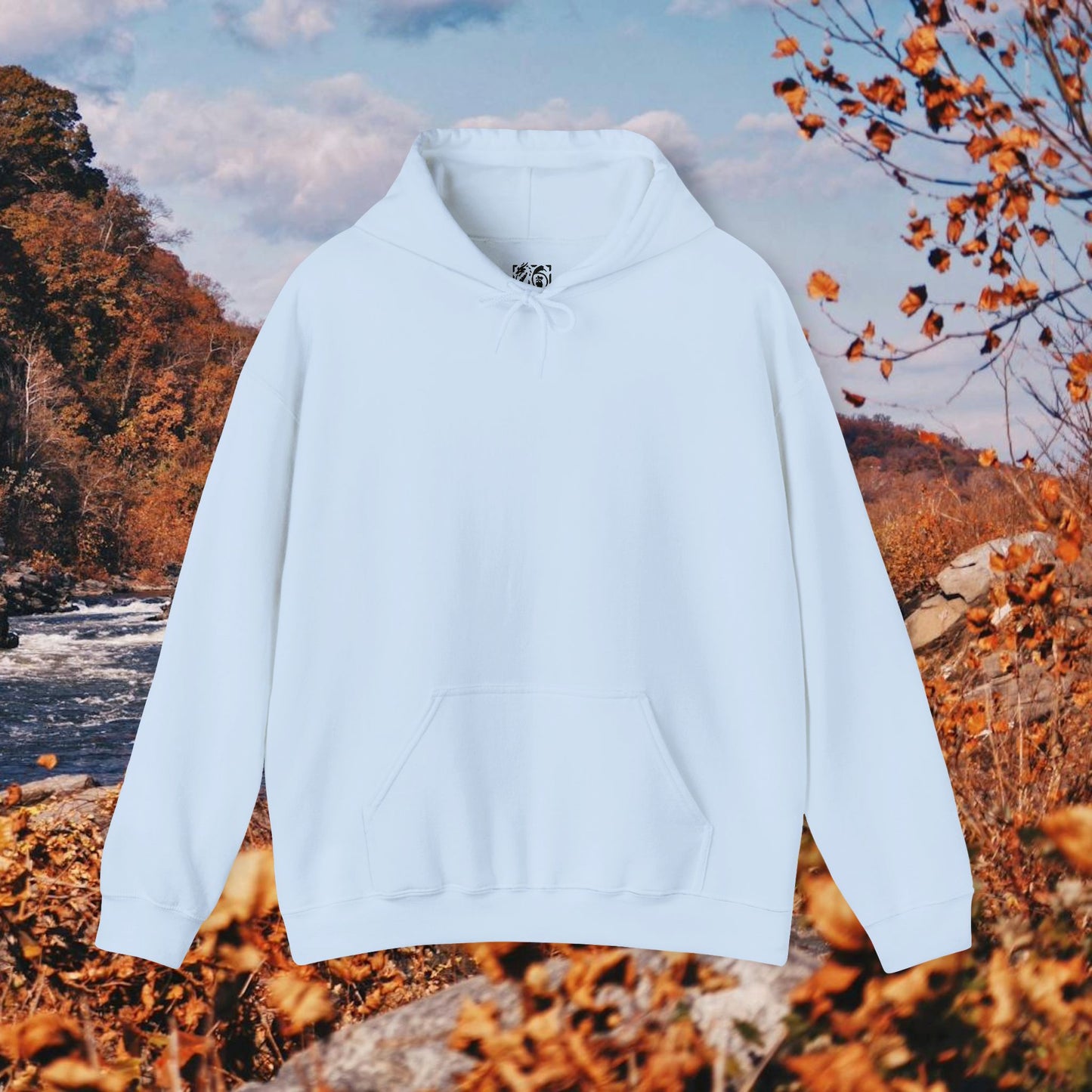 Raccoon Coffee Hoodie