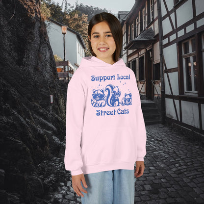 Support Local Street Cats Youth Hoodie