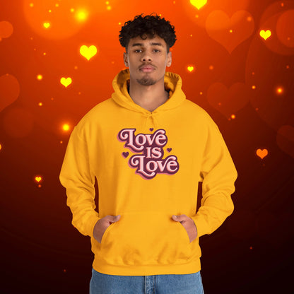 Love Is Love Hoodie