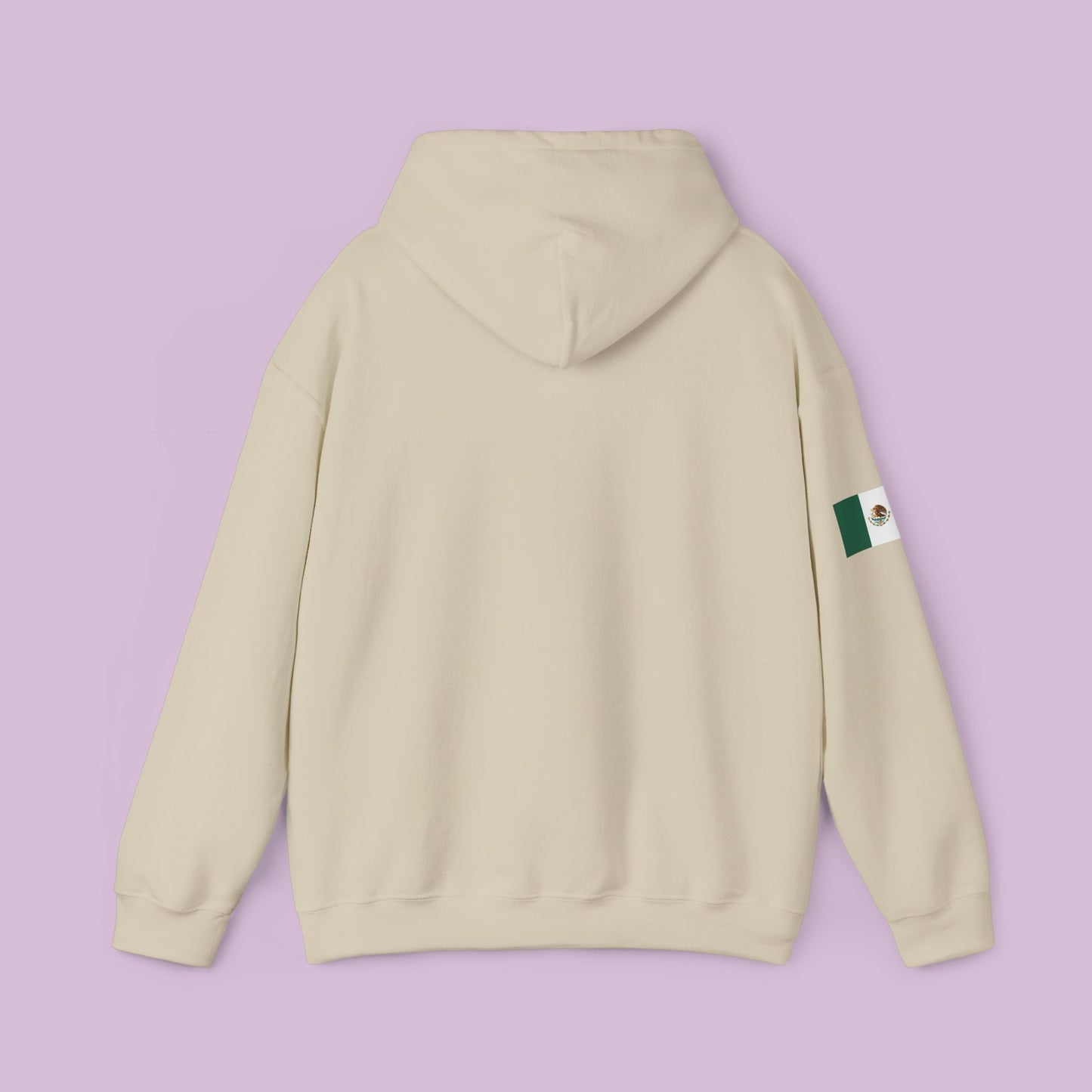 Powered By Immigrants Hoodie