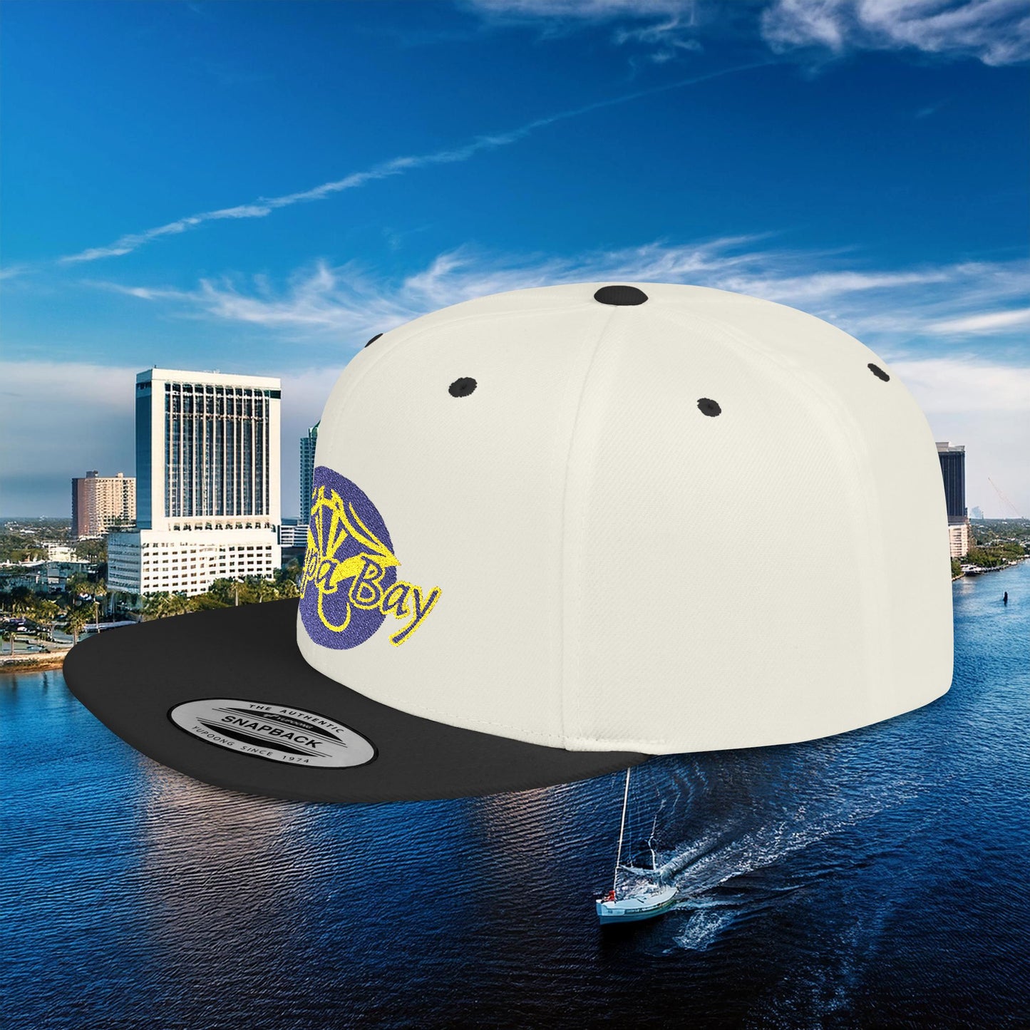 Tampa Bay Baseball Flat Bill Snapback