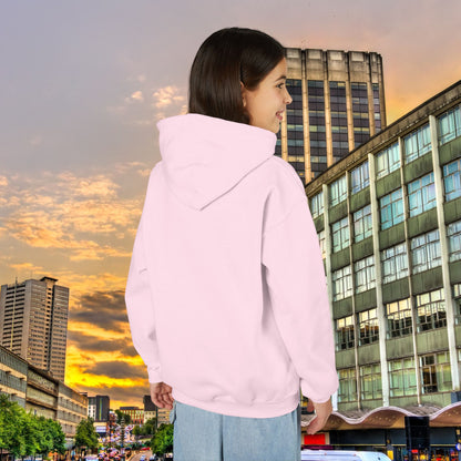 Villans Youth Hoodie