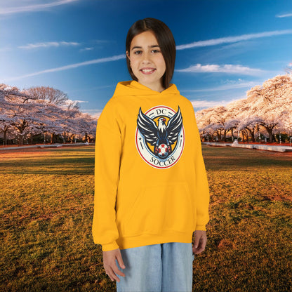 DC United Logo Youth Hoodie