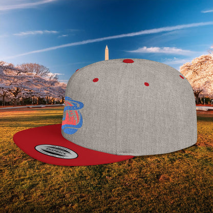 Abstract Washington Baseball Logo Flat Bill Snapback