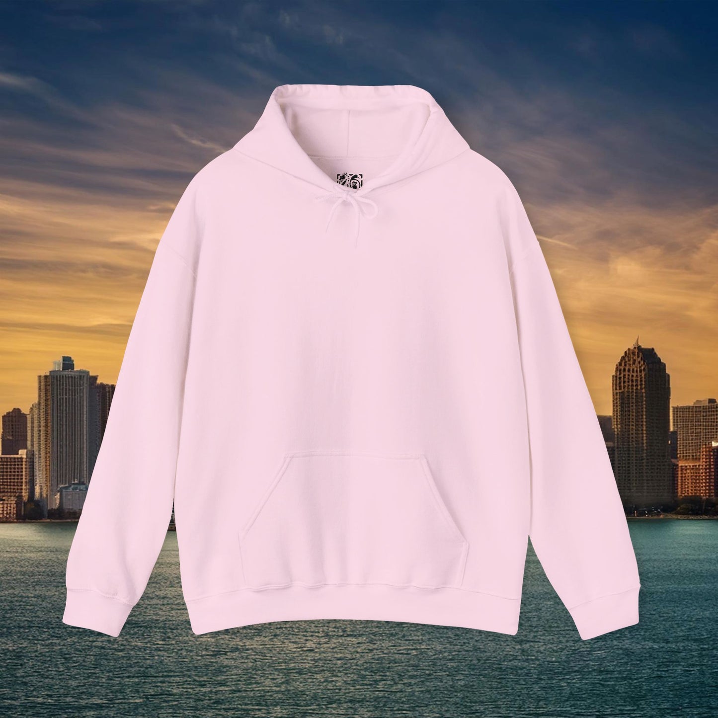 Detroit Football Logo Hoodie