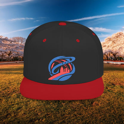 Abstract Washington Baseball Logo Flat Bill Snapback