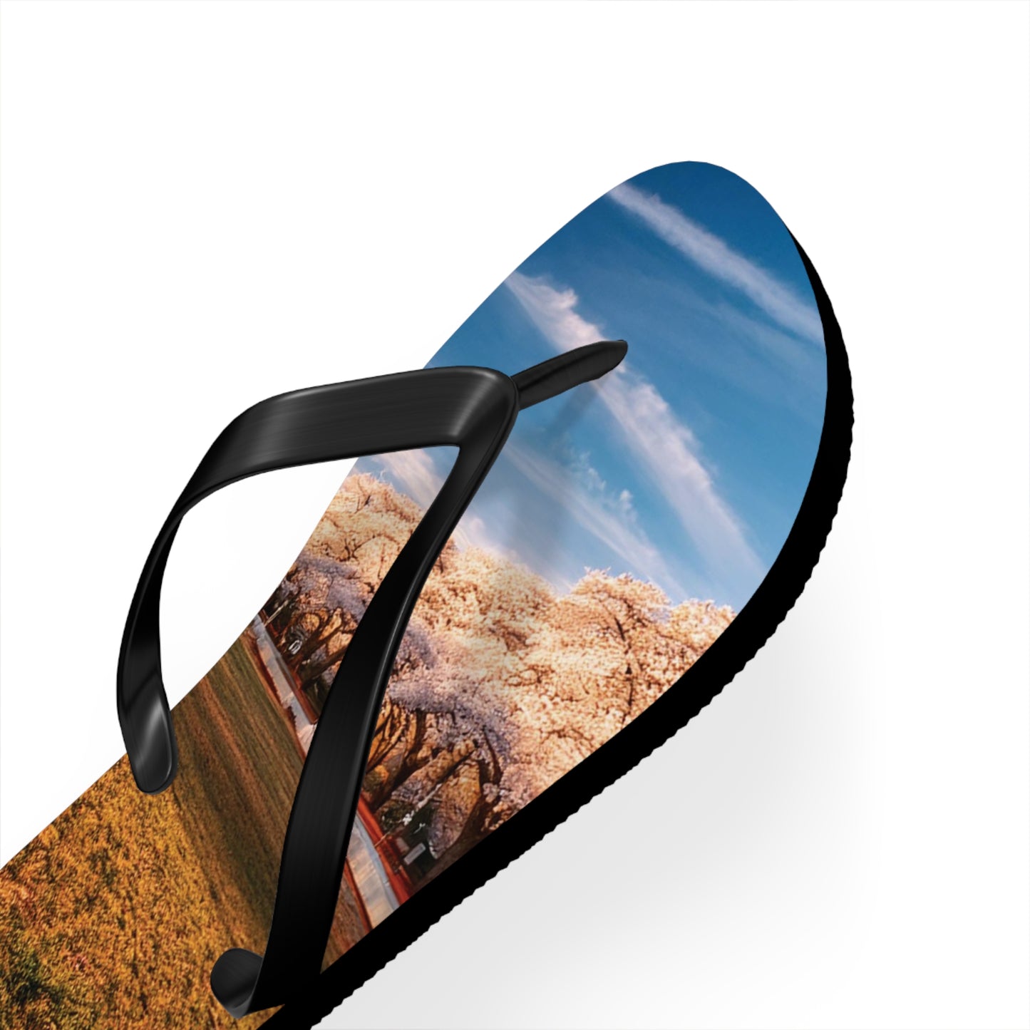 DC Cherry Blossom Flip Flops