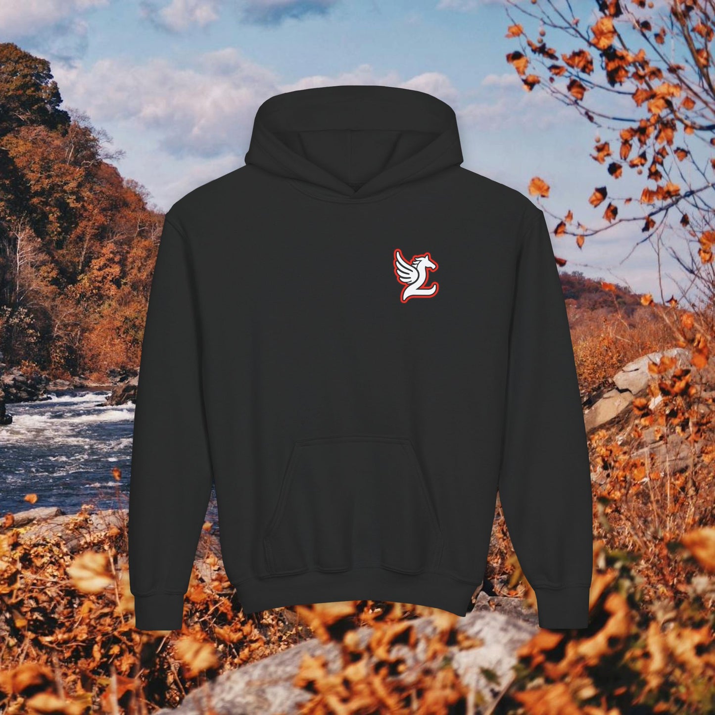 Loudoun Pegasus Youth Hoodie