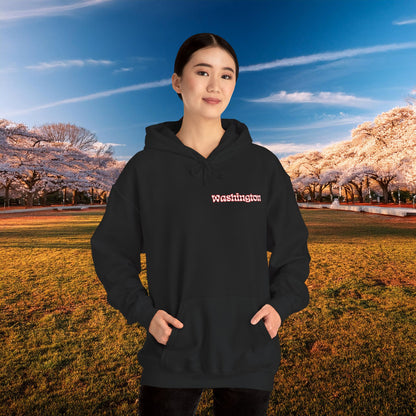 Magical Mystery Nats Hoodie