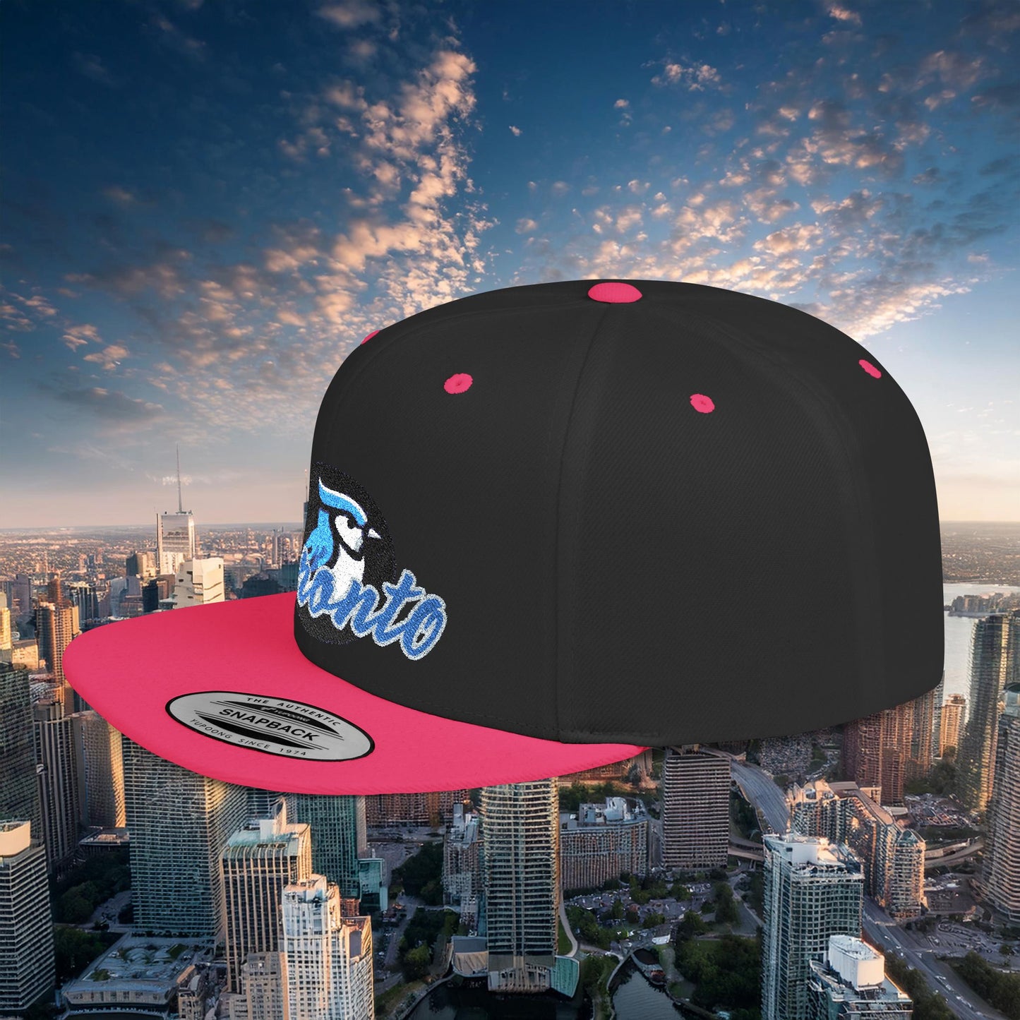 Toronto Baseball Flat Bill Snapback