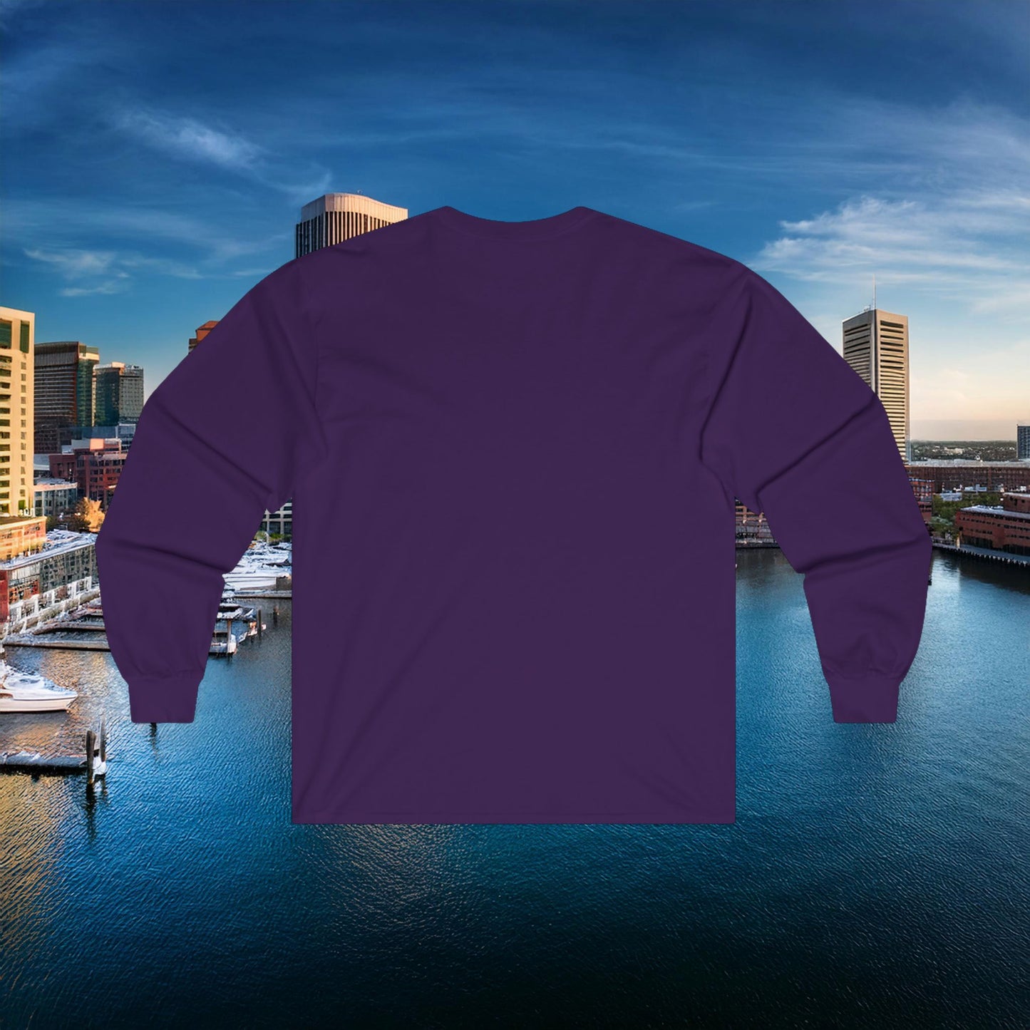 Baltimore Little Football Player Long Sleeve Tee