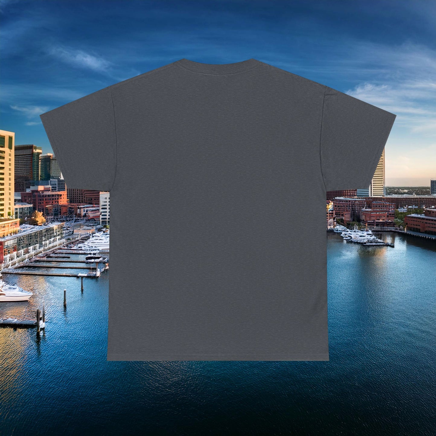 Baltimore Baseball Branch Tee