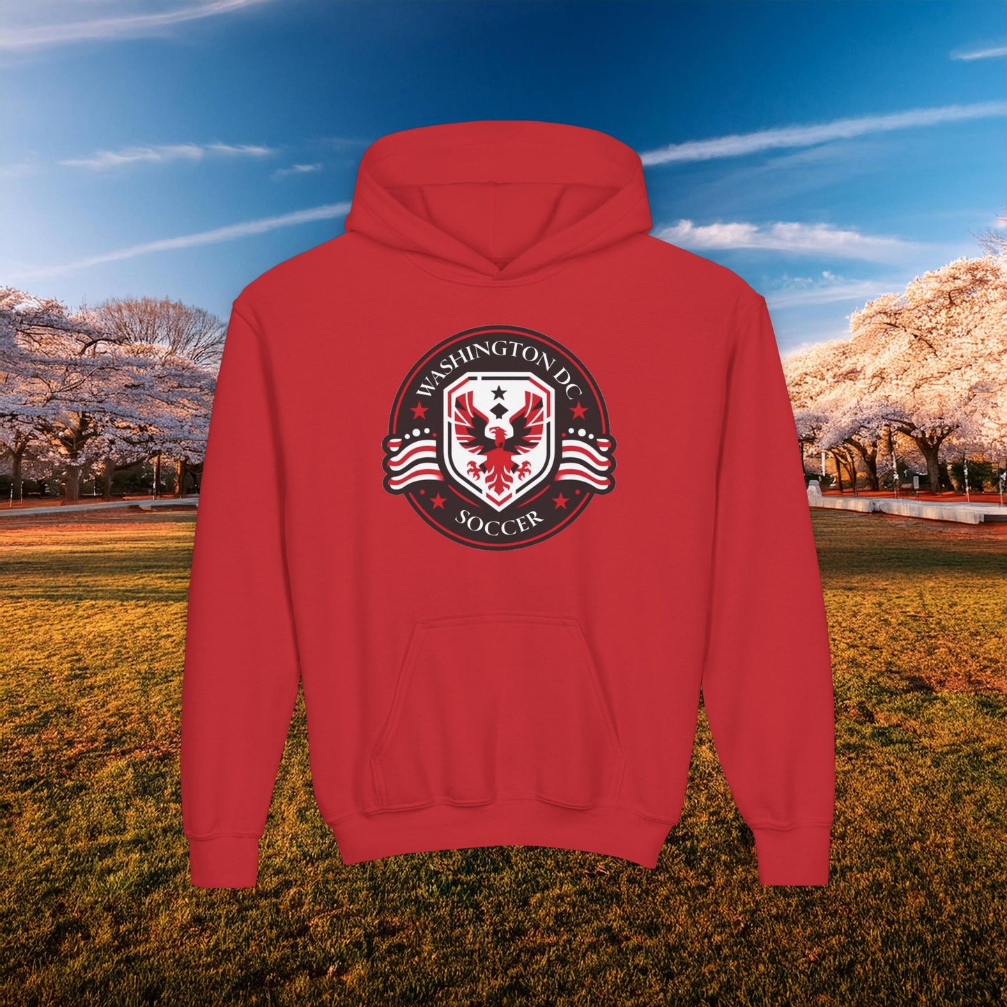 DC United Crest Youth Hoodie