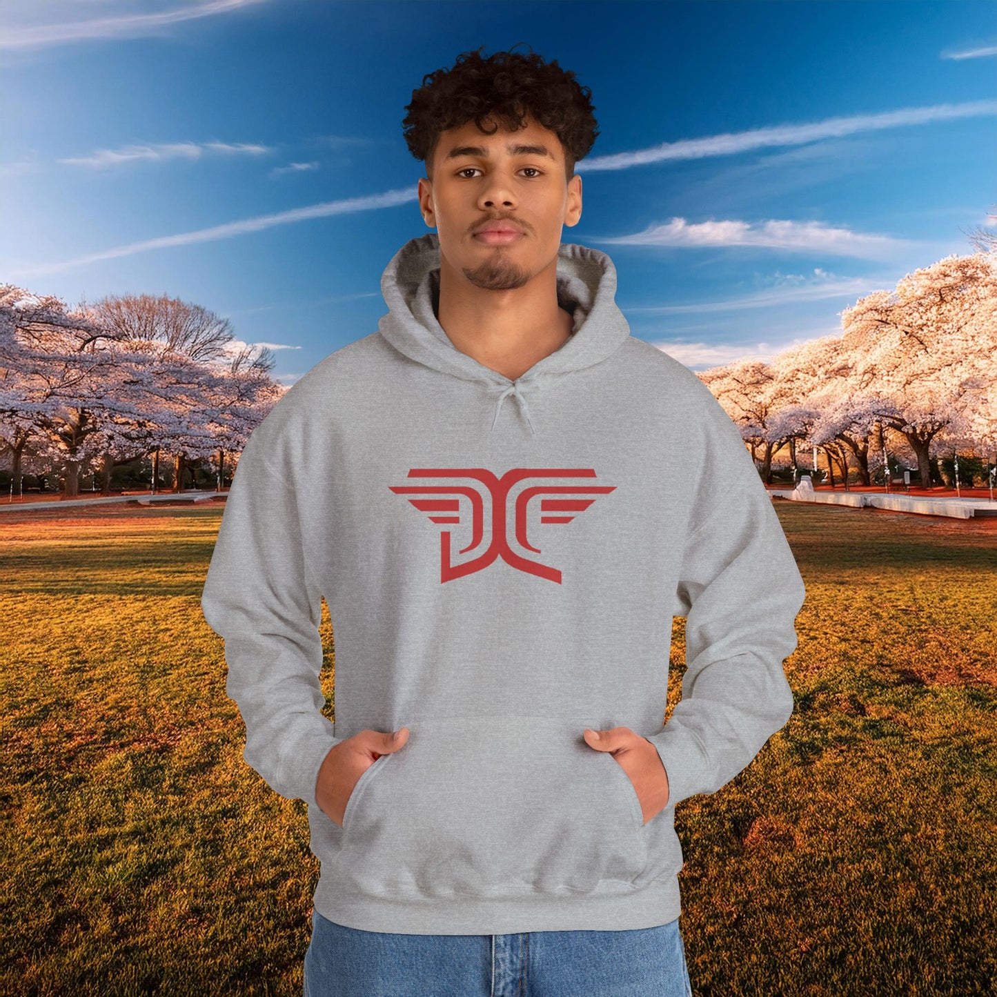 Winged DC Hoodie