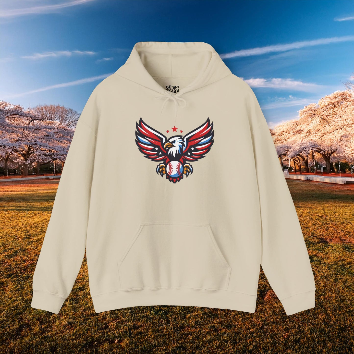 Washington Baseball Eagle Hoodie