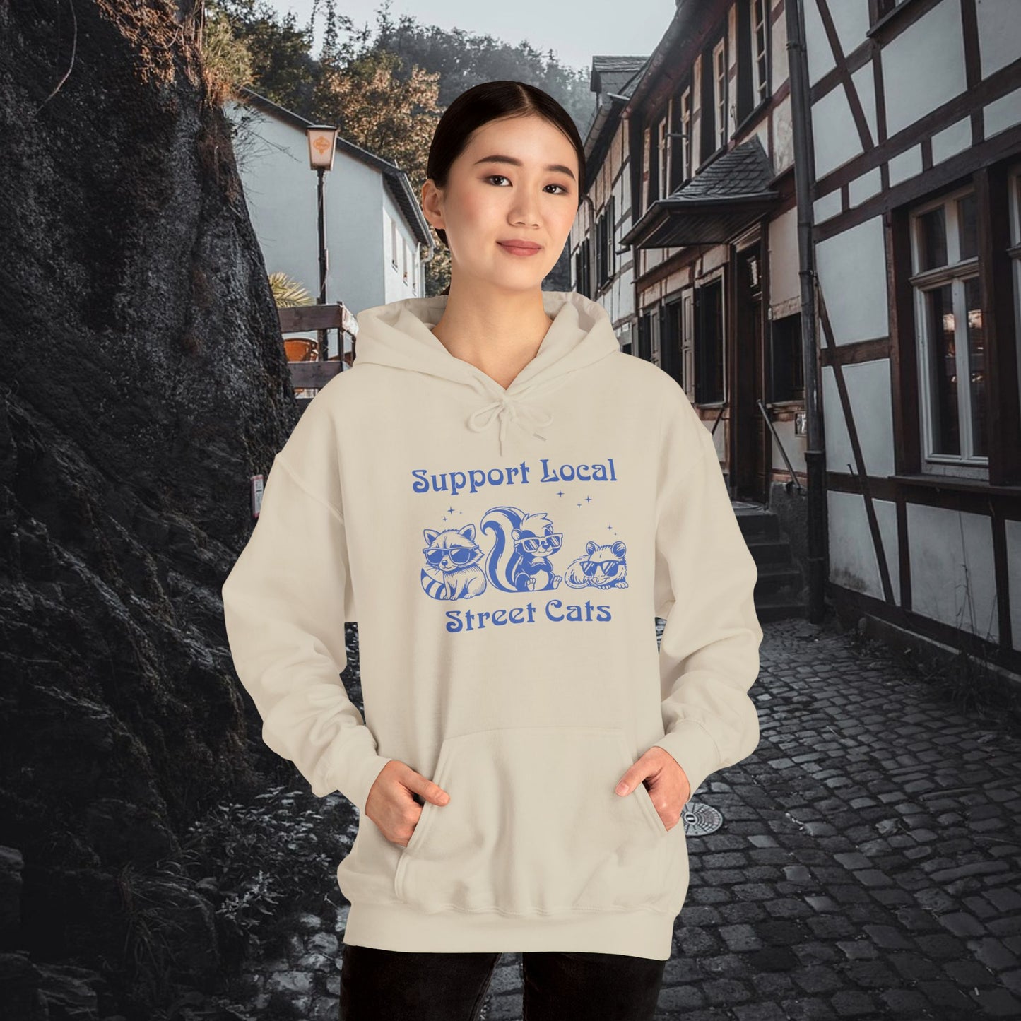 Support Local Street Cats Hoodie
