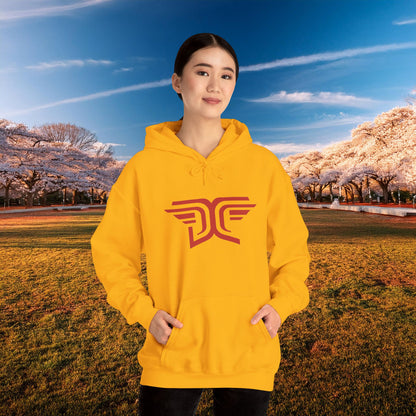 Winged DC Hoodie