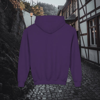 Support Local Street Cats Youth Hoodie