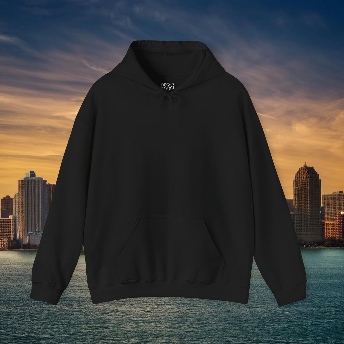 Detroit Football Logo Hoodie