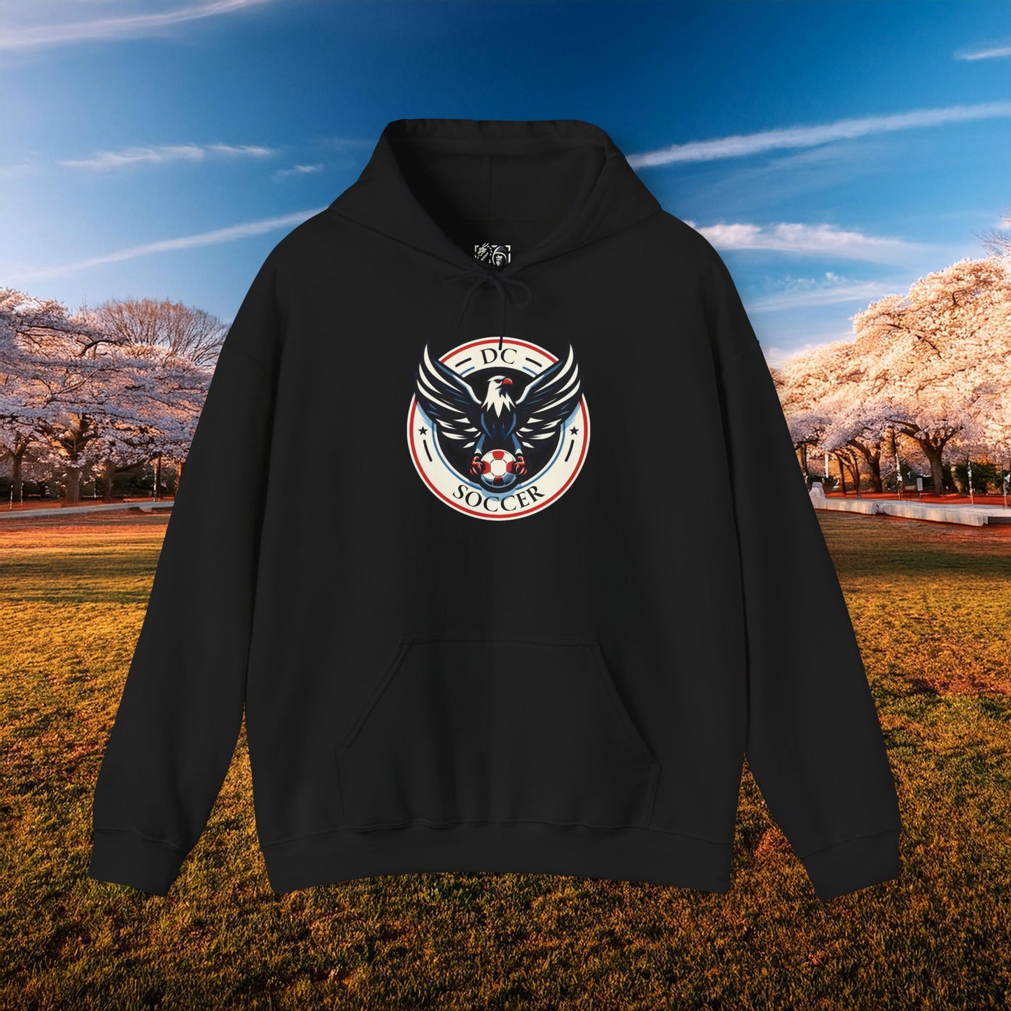 DC United Logo Hoodie