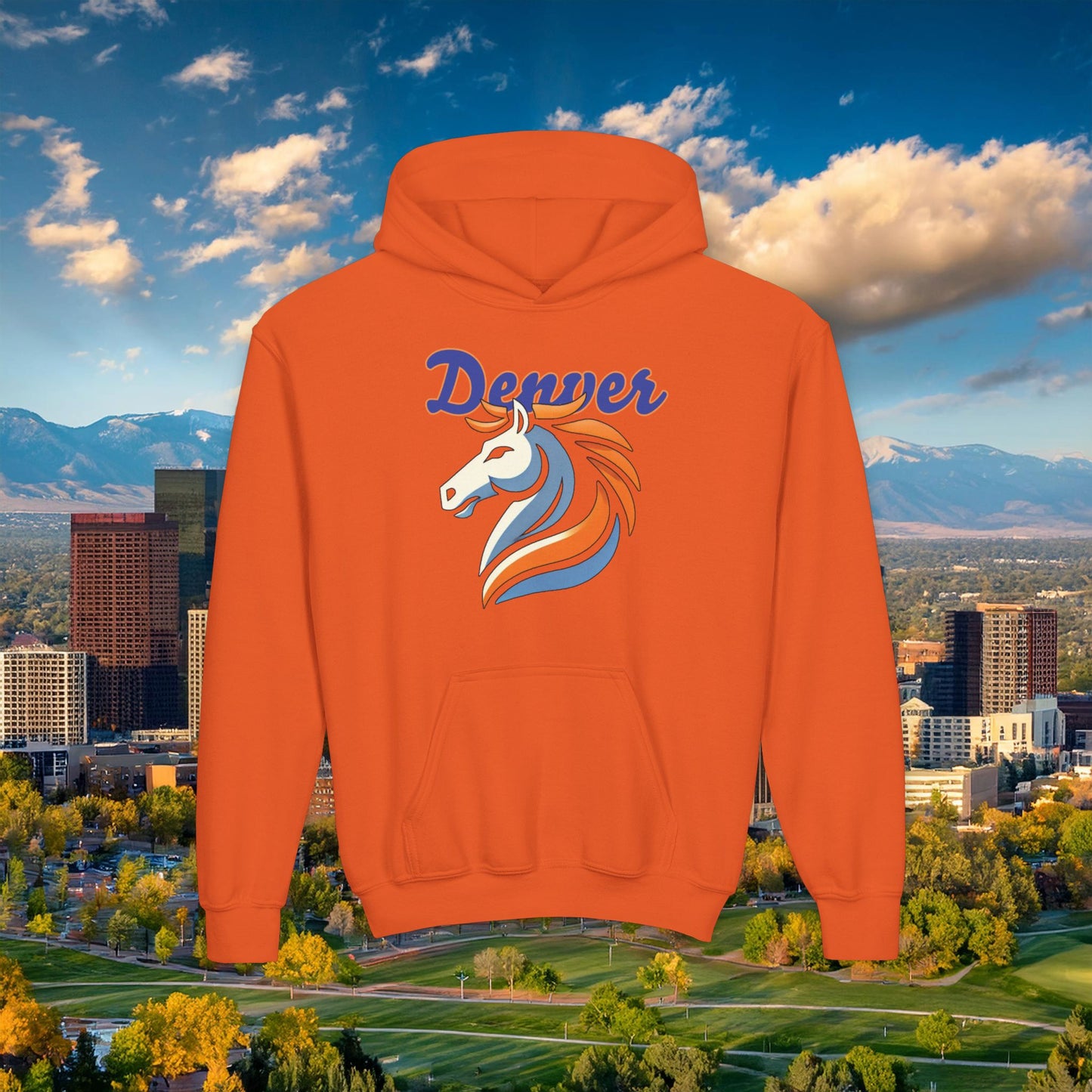 Bronco Youth Hoodie