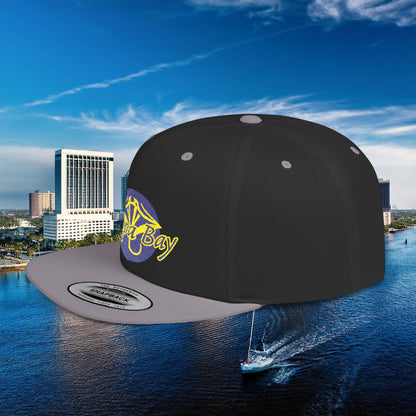 Tampa Bay Baseball Flat Bill Snapback