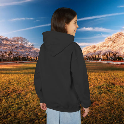 Winged DC Youth Hoodie